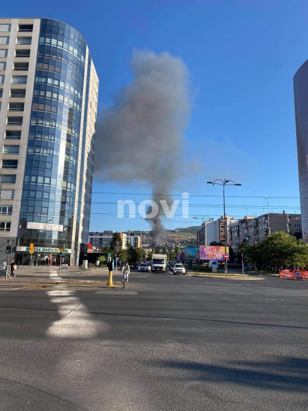 238865619-164458352371661-4259335893498143443-n