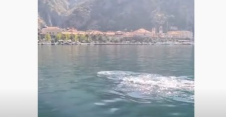 Snimak iz Kotora o kome priča cijeli Balkan: "Ovo je video godine"