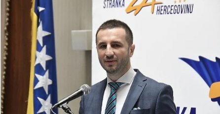 Stranka za BiH: Ne može entitet poništavati državne zakone