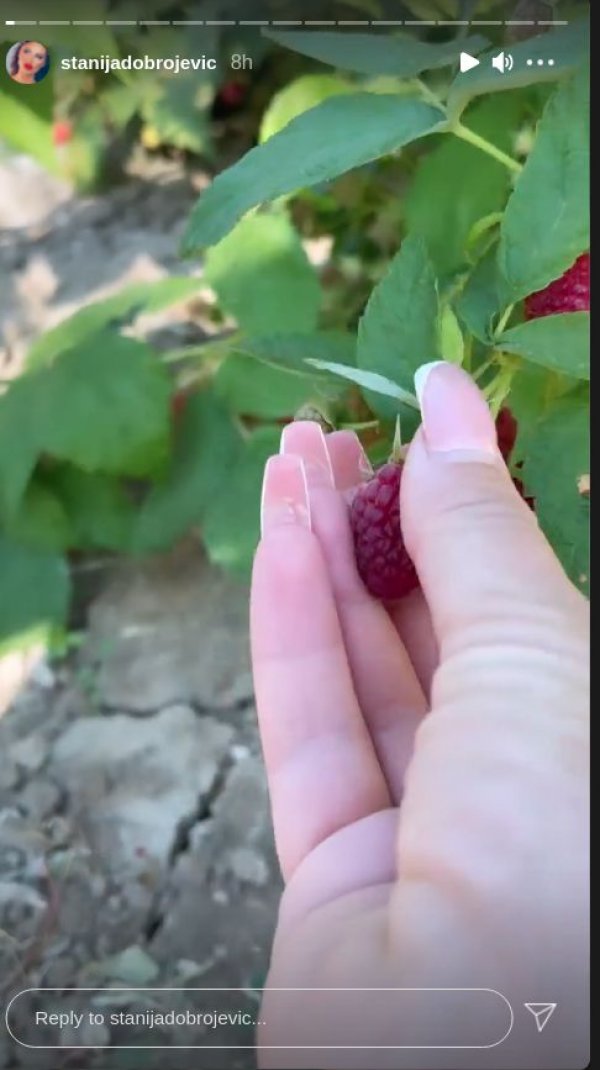 screenshot-from-2021-08-21-20-47-16