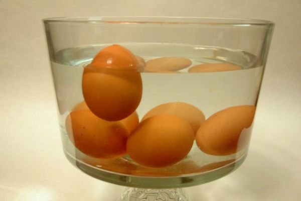 4-nacina-da-proverite-da-li-su-jaja-pokvarena