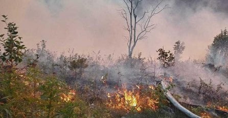 Hercegovina gori: Svi konjički vatrogasci na terenu, bore se s požarima na više lokacija (FOTO)