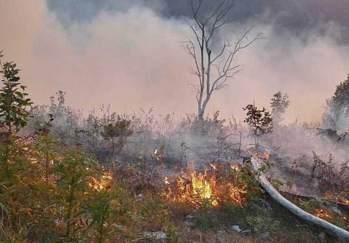 Hercegovina gori: Svi konjički vatrogasci na terenu, bore se s požarima na više lokacija (FOTO)