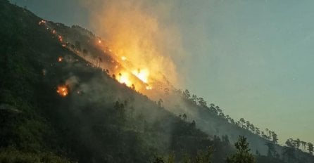 Vatrogasno društvo „Novo Sarajevo-1934“ pomaže u gašenju šumskog požara na području Općine Konjic