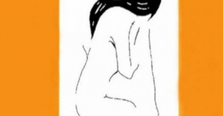 BRZI TEST LIČNOSTI KOJI OTKRIVA PRECIZNO KAKVA STE OSOBA: Šta prvo vidite na slici - MUŠKARAC ILI ŽENA? AKO JE MUŠKARAC, IMAMO NAJBOLJE VIJESTI ZA VAS