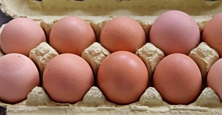 Evo zašto NI SLUČAJNO ne treba da uzmete kutiju U KOJOJ JE POLOMLJENO JAJE: To može da bude VEOMA OPASNO