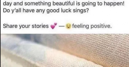 Okačila je na Facebook sliku slatkih bubamara koje su joj ušle u spavaću sobu, a ONDA SU JOJ OTKRILI ŠTA JE TO: "Gospođo, ovo će vam PRETVORITI ŽIVOT U PAKAO"