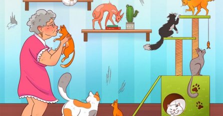 SAMO ZA PRAVE DETEKTIVE: Vidite li šta je čudno na ovoj slici? SAMO RIJETKI POGODE