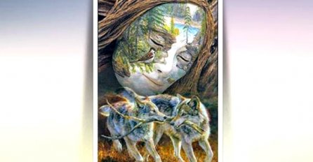 POGLEDAJTE SLIKU I SAZNAJTE ŠTA VAS OČEKUJE U SKORIJOJ BUDUĆNOSTI: Šta ste prvo vidjeli? Ako ste prvo uočili ŽENSKO LICE, ONDA VAS OČEKUJE...