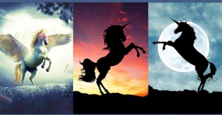 ODABERITE 1 JEDNOROGA SA SLIKE I OTKRIJTE ŠTA VAS ČEKA U BUDUĆNOSTI: Jednorog nosi snažnu poruku, MNOGIMA JE POMOGLO