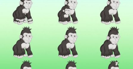 SVI POGREŠNO ODGOVORE! KOLIKO MAJMUNA VIDITE NA SLICI: Nije 9! Znate li tačan odgovor?