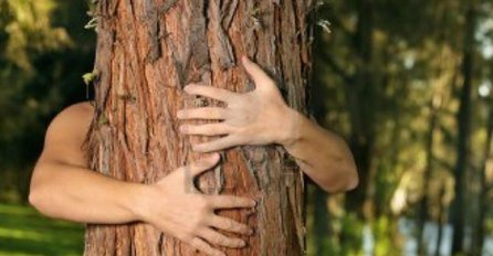 OVO BISTE TREBALI ZNATI: Evo šta se dešava kada grlite brezu, hrast ili bor