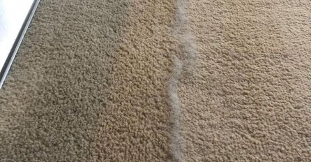 Genijalan trik da se riješite DLAKA SA TEPIHA KOJE NI USISIVAČ NE MOŽE POKUPITI: Samo mahnete i sve dlake će izaći na površinu!  BIĆE KAO NOV!