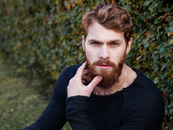 man-beard