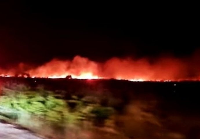 Veliki požar kod Zadra, ugrožene kuće