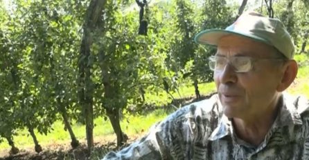  Zašto je Edib Balić uništio svoj zasad kruške: "Nema od toga ništa..."