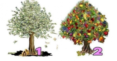 IZABERITE JEDNO DRVO I SAZNAJTE DA LI ĆETE SE OBOGATITI: Test je tačan 100%