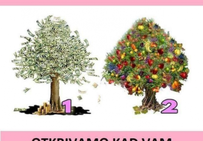 IZABERITE JEDNO DRVO I SAZNAJTE DA LI ĆETE SE OBOGATITI: Test je tačan 100%
