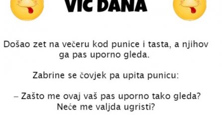 VIC DANA: Kod punice