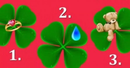 IZABERITE JEDNU DJETELINU, A MI ĆEMO VAM REĆI ŠTA VAS ČEKA: Stiže velika novčana nagrada-  OVA DJETELINA SVIMA POGAĐA