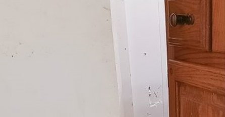 ŽENA SE TUŠIRALA, A ONDA JE UGLEDALA OVO ISPRED  VRATA: Od šoka nije mogla doći sebi (FOTO)