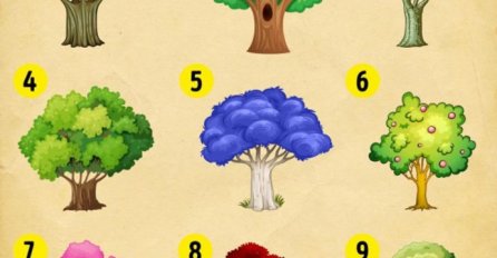 ŠTA VAS ČEKA SLJEDEĆE GODINE? PATNJA ILI SREĆA? Izaberite jedno drvo i SAZNAJTE 