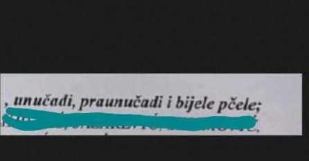 ZNATE LI ŠTA ZNAČI KADA NA SMRTOVNICI MEĐU OŽALOŠĆENIMA PIŠU  "BIJELE PČELE"? Objavljeno obrazloženje, ovo sigurno niste znali