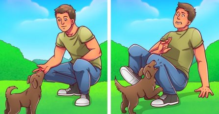 ISTRAŽIVANJE POKAZALO, EVO ZAŠTO PSI NEKE OSOBE NE VOLE I IGNORIŠU IH: Postoji razlog, a važno je i za ljude da to znaju, ONI NANJUŠE NEŠTO ŠTO MI NE MOŽEMO