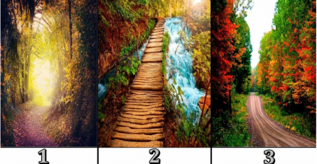 SAZNAJ KAKVA TI JE BUDUĆNOST: Izaberi jednu stazu i otkrij  gdje te vodi život 