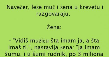 VIC DANA: Muž i žena