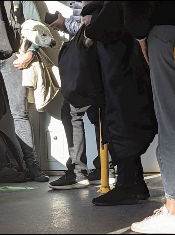 55544d5c-bd27-4f5d-8ac8-9d543b0ce634