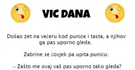 VIC DANA: Kod punice 
