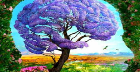 ŠTA STE PRVO VIDJELI NA OVOJ SLICI? Ovo otkriva sve o vama: Ako ste prvo uočili GLAVU - IMAMO LOŠE VIJESTI