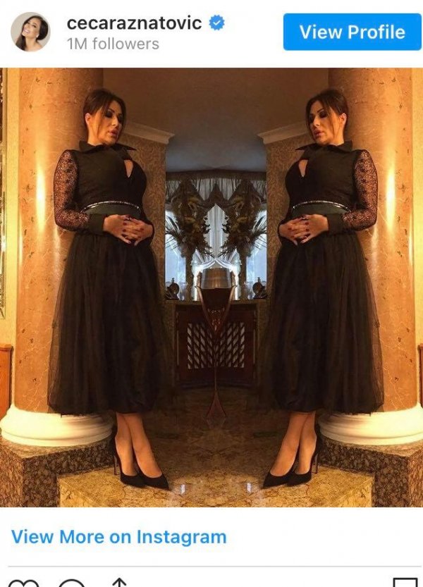 242705148-416437956722571-888387911760156048-n