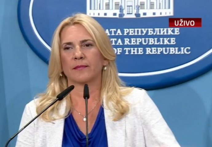 Cvijanović: Odluka Ustavnog suda BiH predstavlja državni udar