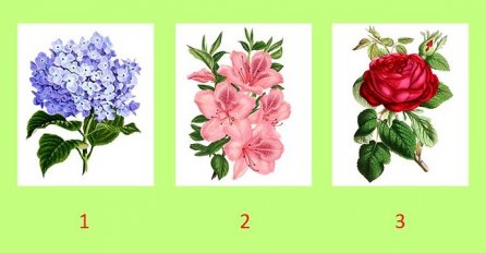 ODABERITE CVIJET KOJI VAM SE NAJVIŠE DOPADA, A MI ĆEMO VAM REĆI ŠTA VAS ČEKA NAREDNIH MJESECI: Svi  kažu da im je pogodilo