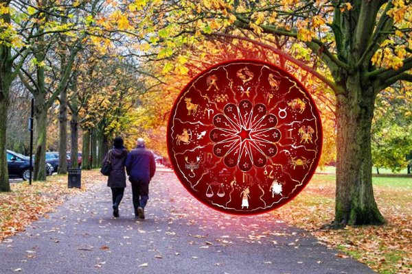 2692999-7987987987-ls