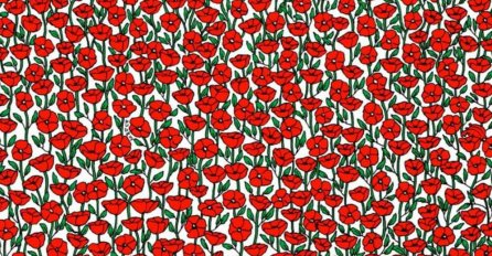 SAMO 5% LJUDI JE USPJELO: Možete li da pronađete ULJEZA među RUŽAMA? (FOTO)