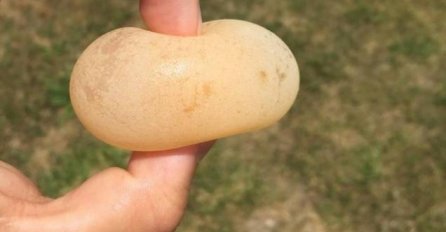 VIDITE LI NEŠTO NEOBIČNO NA OVOJ SLICI? Ljudi satima gledaju i ne mogu da skontaju, ZNATE LI VI O ČEMU SE RADI? OSTAT ĆETE U ČUDU