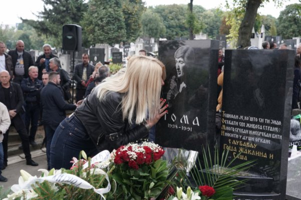 560344-toma-zdravkovic-pomen-338818-photo-e-stock-caslav-vukojcic-iff