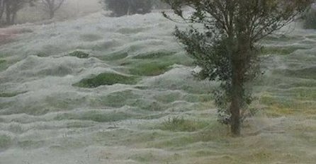 VIDITE LI NEŠTO ČUDNO NA OVOJ SLICI: Zgrozit ćete se kad shvatite šta je u pitanju