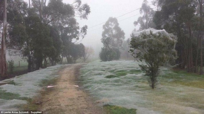 26d9f658-4d97-422b-ac56-cd356e1618da