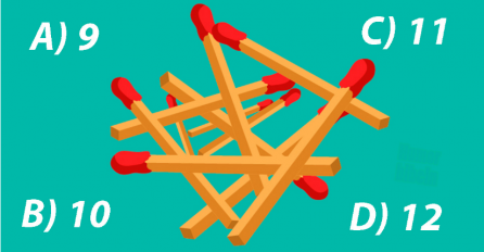 SAMO ZA ONE SA NAJOŠTRIJIM VIDOM: Koliko šipica se nalazi na ovoj fotografiji? RIJETKI ODGOVORE TAČNO