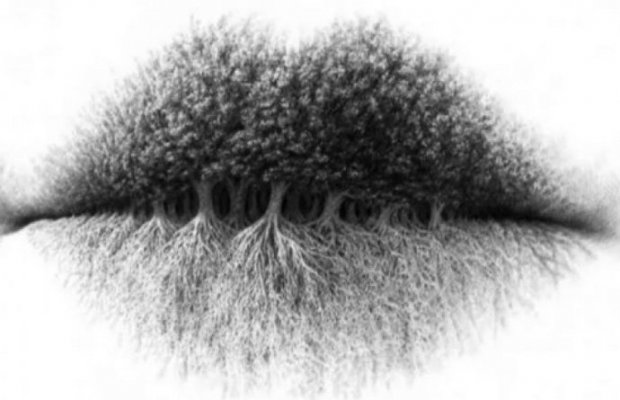 601fc03b-5d88-49c6-bc94-156d0a0a0a64-prt-scr-iluzija-opticka-24-sata-hr-690x480-1-690x445