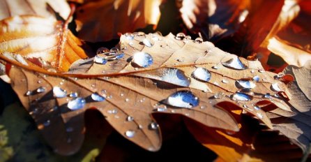 OBJAVLJEN HOROSKOP ZA NAREDNU SEDMICU, SAZNAJTE ŠTA VAS ČEKA: Kažu da je najtačniji do sada, OVAJ ZNAK ČEKA VELIKA LOVA