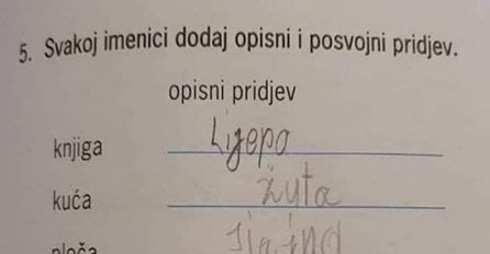 UČENIK JE DOBIO ZADATAK DA SVAKU IMENICU OPIŠE: A evo šta je napisao za svoju sestru, učiteljica ovo nije očekivala (FOTO)
