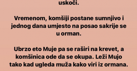 VIC: Mujo, komšinica i komšija