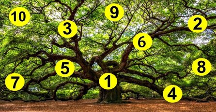 IZABERI 1 BROJ I SAZNAJ ŠTA TE ČEKA DO KRAJA GODINE: Ako se odlučite za OVAJ BROJ, NE PIŠE VAM SE DOBRO