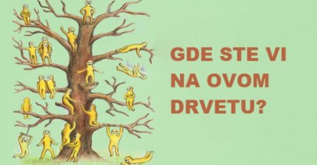 GDJE SE VIDITE NA OVOM DRVETU? Izaberite jednog čovječuljka: Test otkriva KAKVA STE OSOBA, SVIMA JE POGODILO