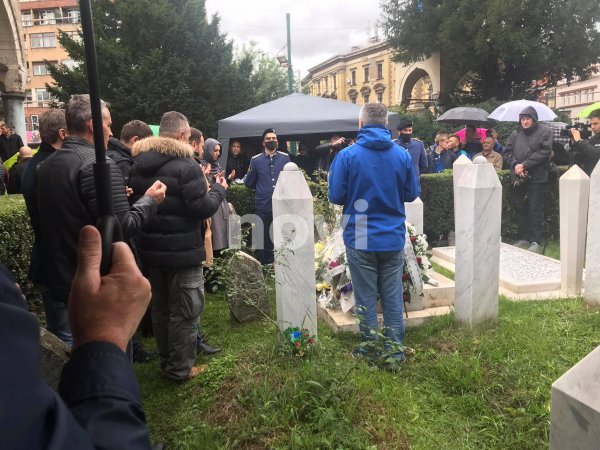 244658496-293130892374210-7774118337325254464-n